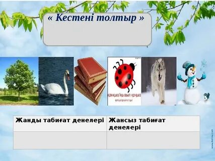 Ерлерге ұнайтын ең сексуалды секс позициялары