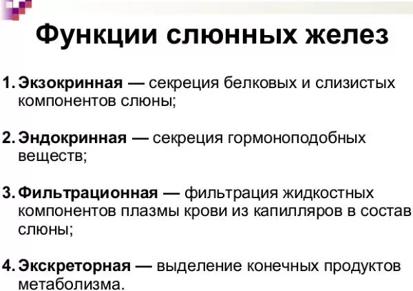 Слюнные железы функции. Строение и функции слюнных желёз таблица. слюнные железы строение и функции. функции слюнных желез кратко. функции больших слюнных желез.