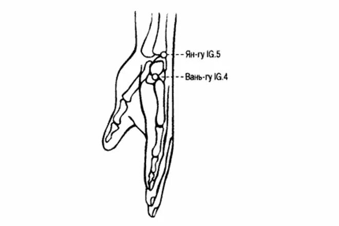Ig 5 точка акупунктуры. Точка 5ig ТКМ. Точка ig4 Вань ГУ. Ig 4 Вань-ГУ.