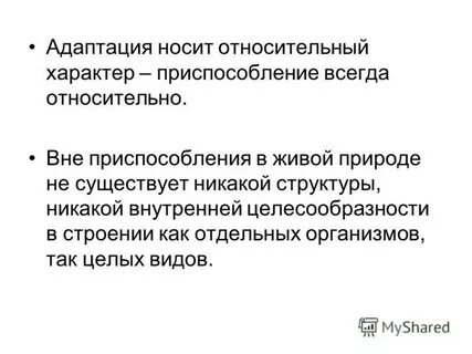 Вне относительно