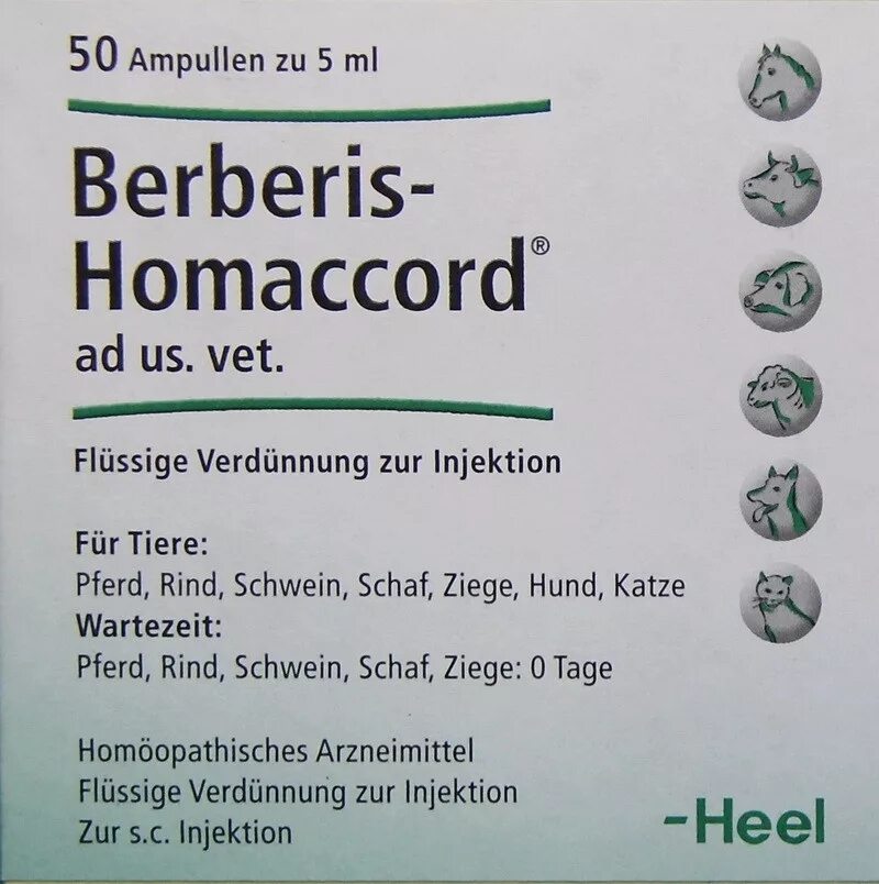 Берберис гомаккорд берберис- гомаккорд. Берберис-гомаккорд капли. Берберис гомаккорд. Берберис-гомаккорд капли. Берберис гомаккорд.