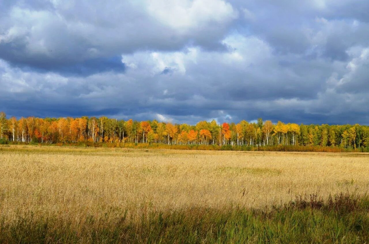 Колосовский район Омская. Село пустынное Омская область. Омская область Колосовский район село Бражниково.