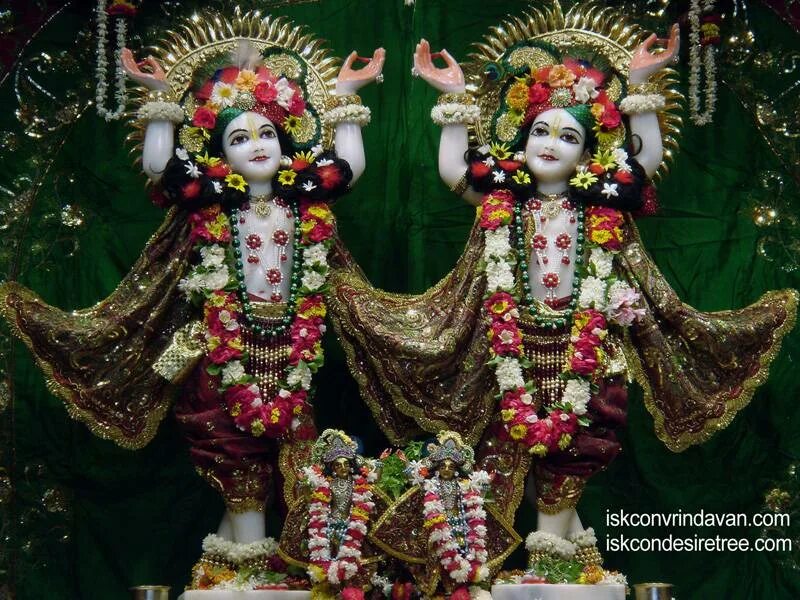 Гаура нитай. Шри шри нитай. Божества гаура. Божества гаура. Божества гаура нитай ананда вардхана.