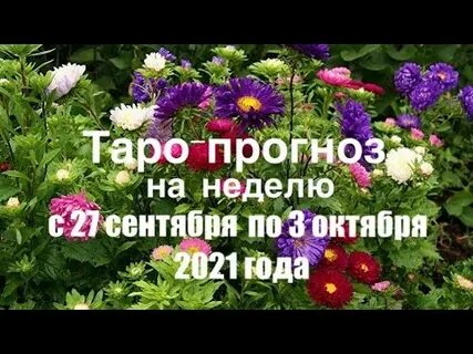 С 27 сентября по 3 октября