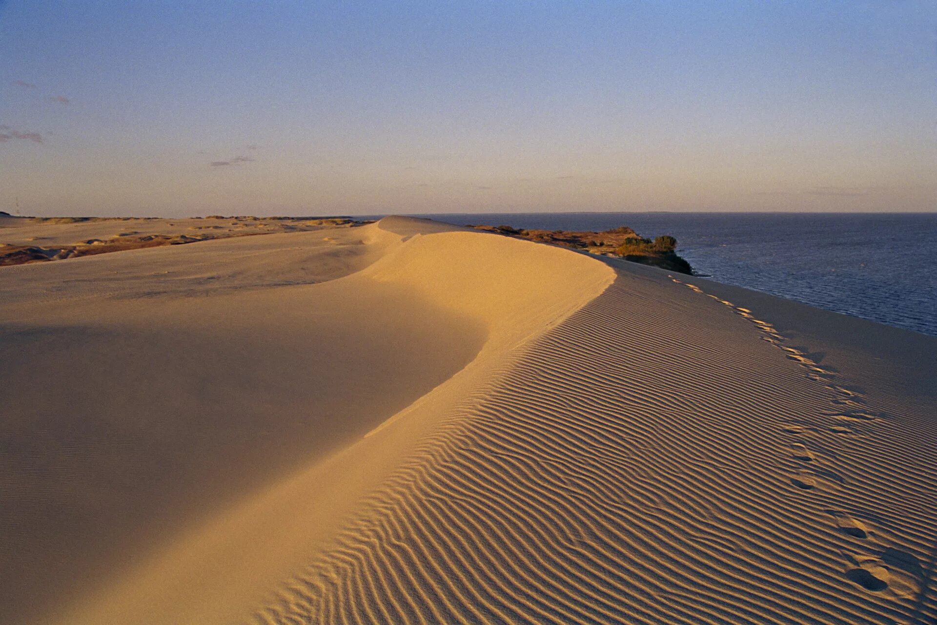 Уникально расположенная. Песчаные дюны Куршской косы. Калининград дюны на Куршской косе. Песчаные дюны Калининград. Песчаные дюны Эфа Куршская коса.