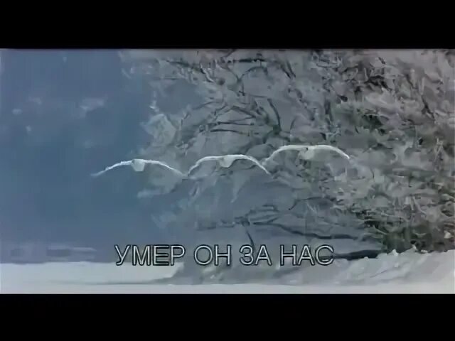 Вьюга или въюга. Вьюга правописание. Вьюга или въюга. Стих про вьюгу для детей. Вьюга или въюга.