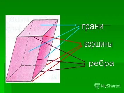 Из которого состоит