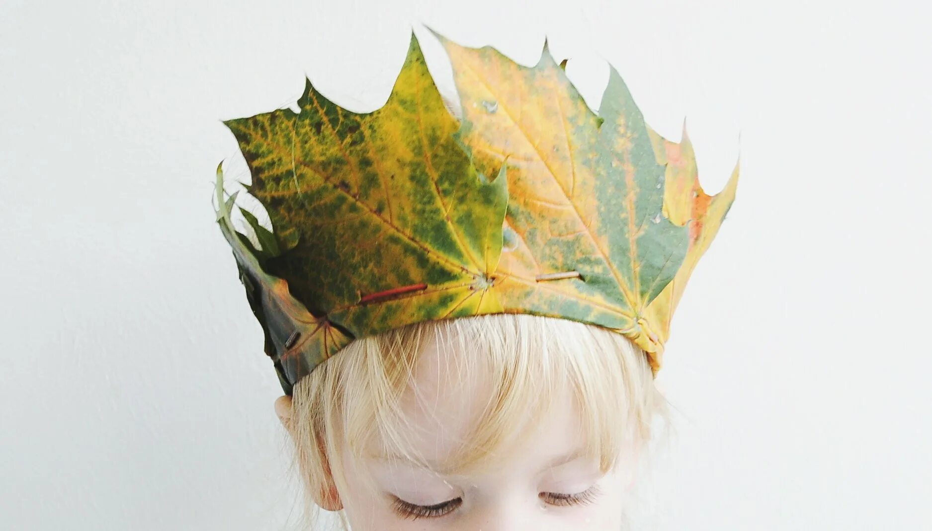 Маски для волос из листьев. Осенняя корона. Корона из осенних листьев. Корона из листья. Корона из листиков.