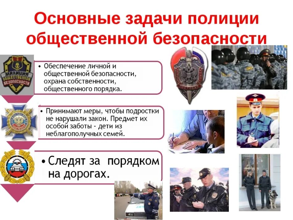 Полиция сфера деятельности
