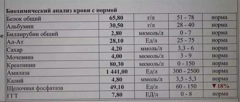 Анализы для мужчин после 40. Норма анализа крови общий белок сыворотки крови. Биохимия крови общий белок у детей норма. Общий анализ крови норма белка для женщин. Биохимический показатель крови общий белок норма.