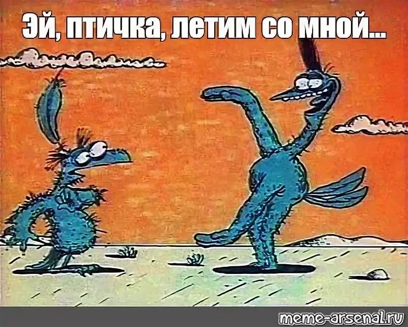 Летим птичка там много. Летим птичка там много вкусного. полетели со мной там много вкусного. эй птичка полетели со мной.