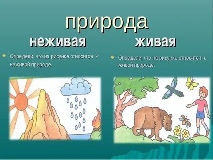 Примеры живой и неживой природы 1 класс