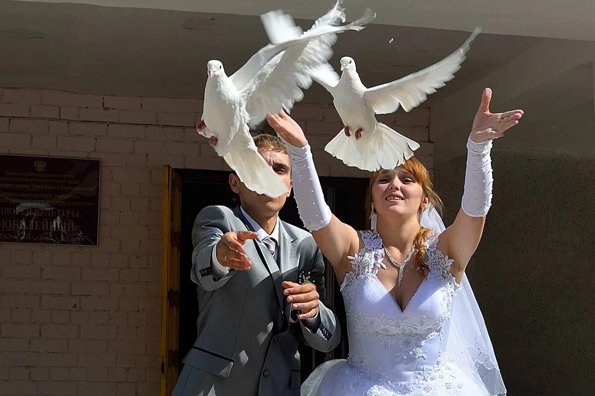 белый голубь. выпускники выпускают голубей. свадебные голуби. свадебные голуби. выпускаем белых голубей.
