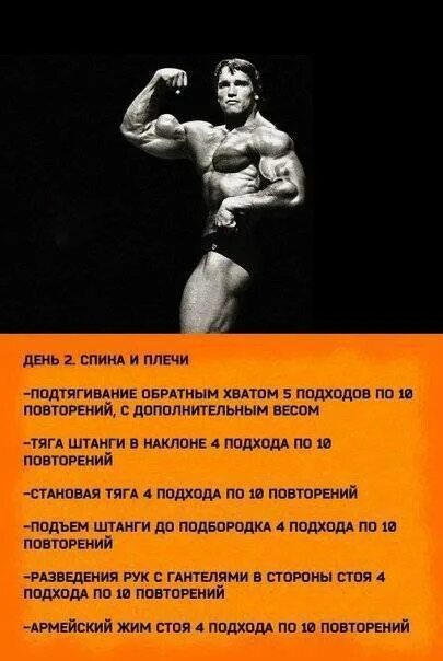 Программа тренировок арнольда. Программа тренировок арнольда шварценеггера на массу. арнольд шварценеггер программа тренировок. арнольд шварценеггер программа тренировок на массу. план тренировок арнольда шварценеггера.