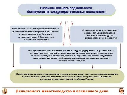 Заместитель директора по развитию