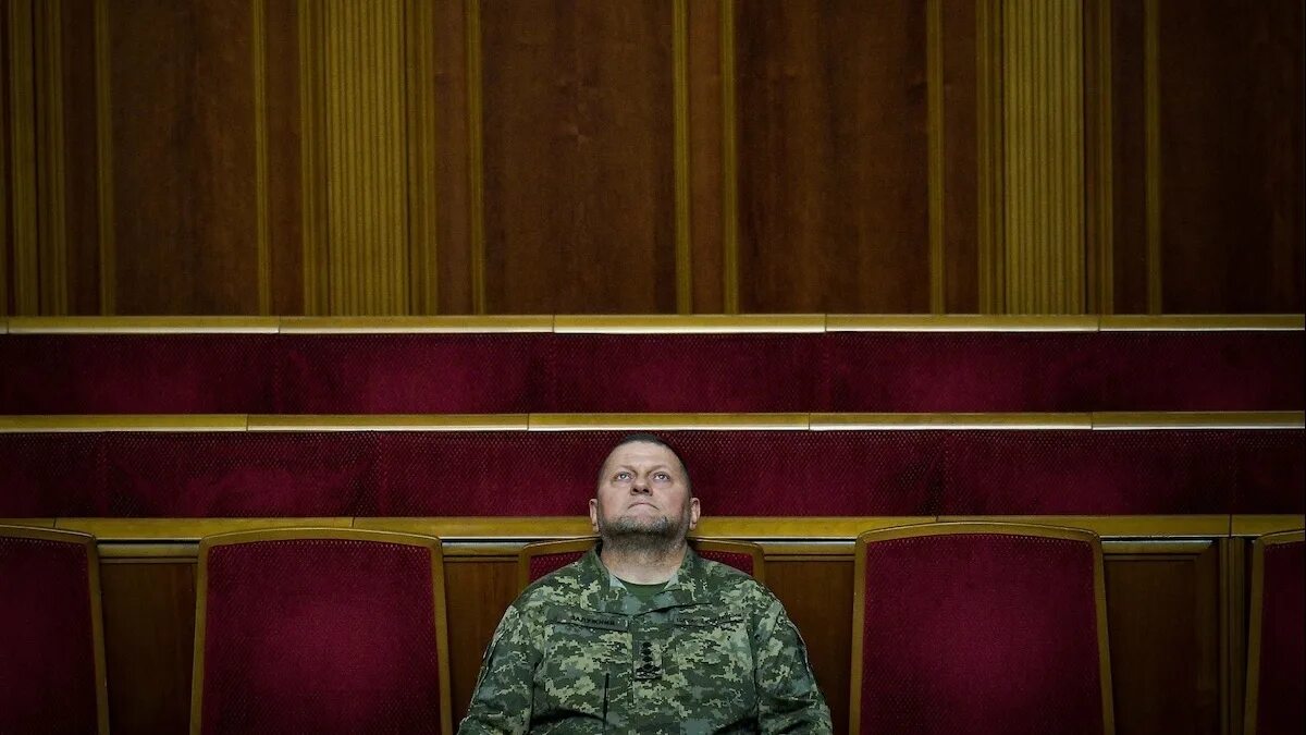 Выступление залужного последнее видео. Выступление залужного последнее видео