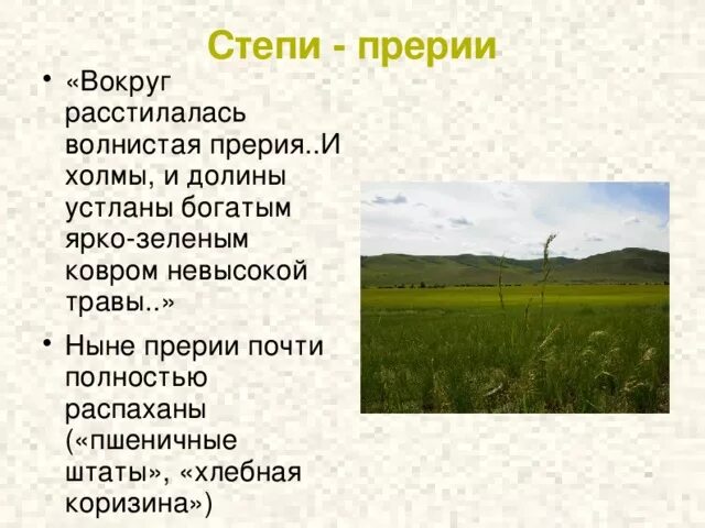 Прерия значение