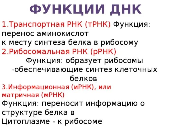 Функциональная рнк. Строение и функции ДНК И РНК. Какую выполняют роль ДНК И РНК. Назовите основные биологические функции РНК.