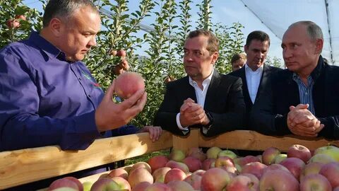 Сельские общественные организации