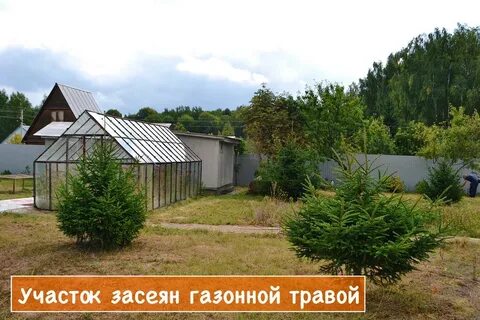 Снт калинка