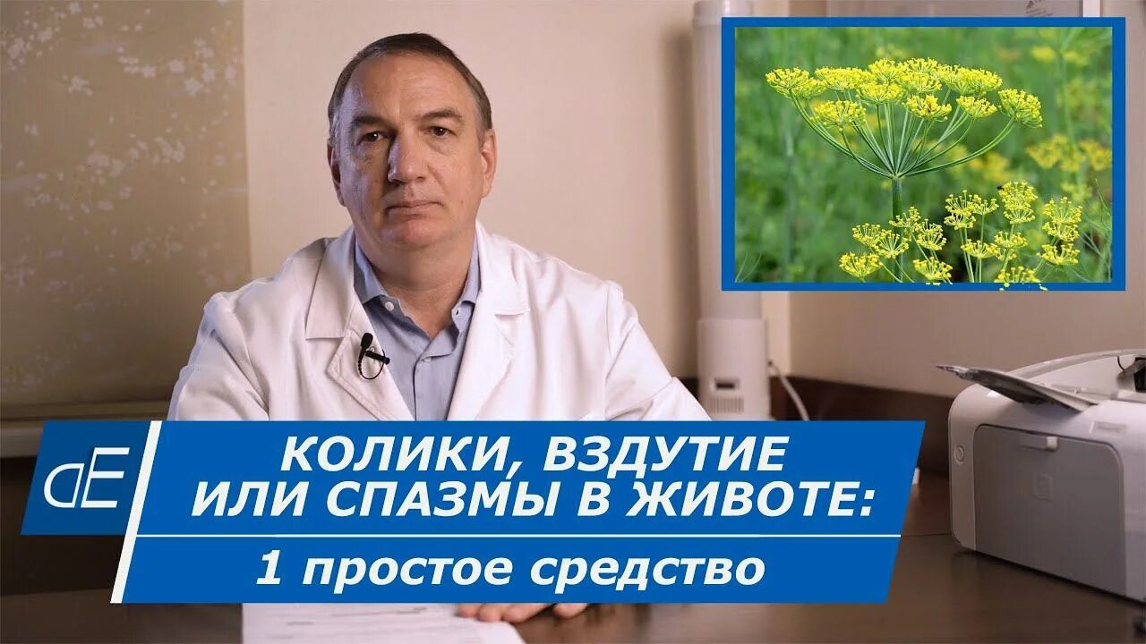 Евдокименко гастрит. Доктор Евдокименко о кашле и бронхите. Разумная медицина доктора Евдокименко. Доктор Евдокименко о кашле. Доктор Евдокименко препараты разжижающие кровь.