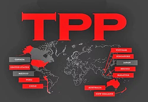 Транстихоокеанское партнерство. Транстихоокеанское партнерство