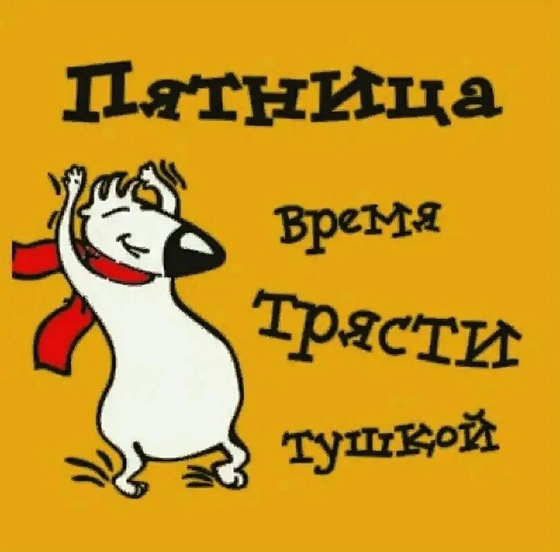 Пятница время. Пятница время трясти тушкой. Сегодня пятница. Приколы про пятницу в картинках время трясти тушкой. Сегодня пятница улица развратница