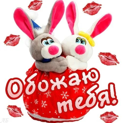 До жути зая люблю тебя. Любимому зайке. обожаю тебя. любимой зайке. зайчик я тебя люблю.