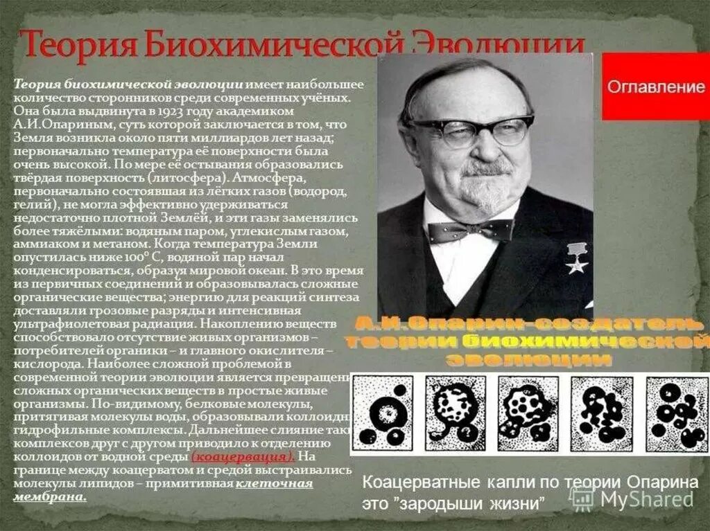 Биохимическая теория. Опарин теория. Теория биохимической эволюции сторонники теории.