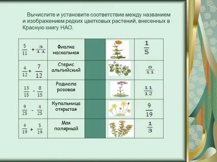 Установите соответствие между грибом