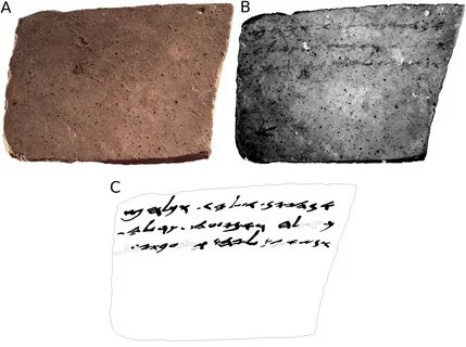Piece of evidence