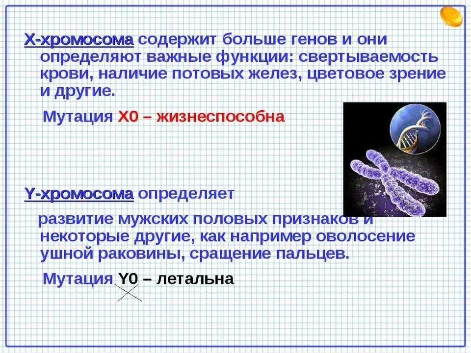 Ген определение. Генетика пола презентация. генетика пола это в биологии. х хромосома особенности. генетика х и у хромосомы.