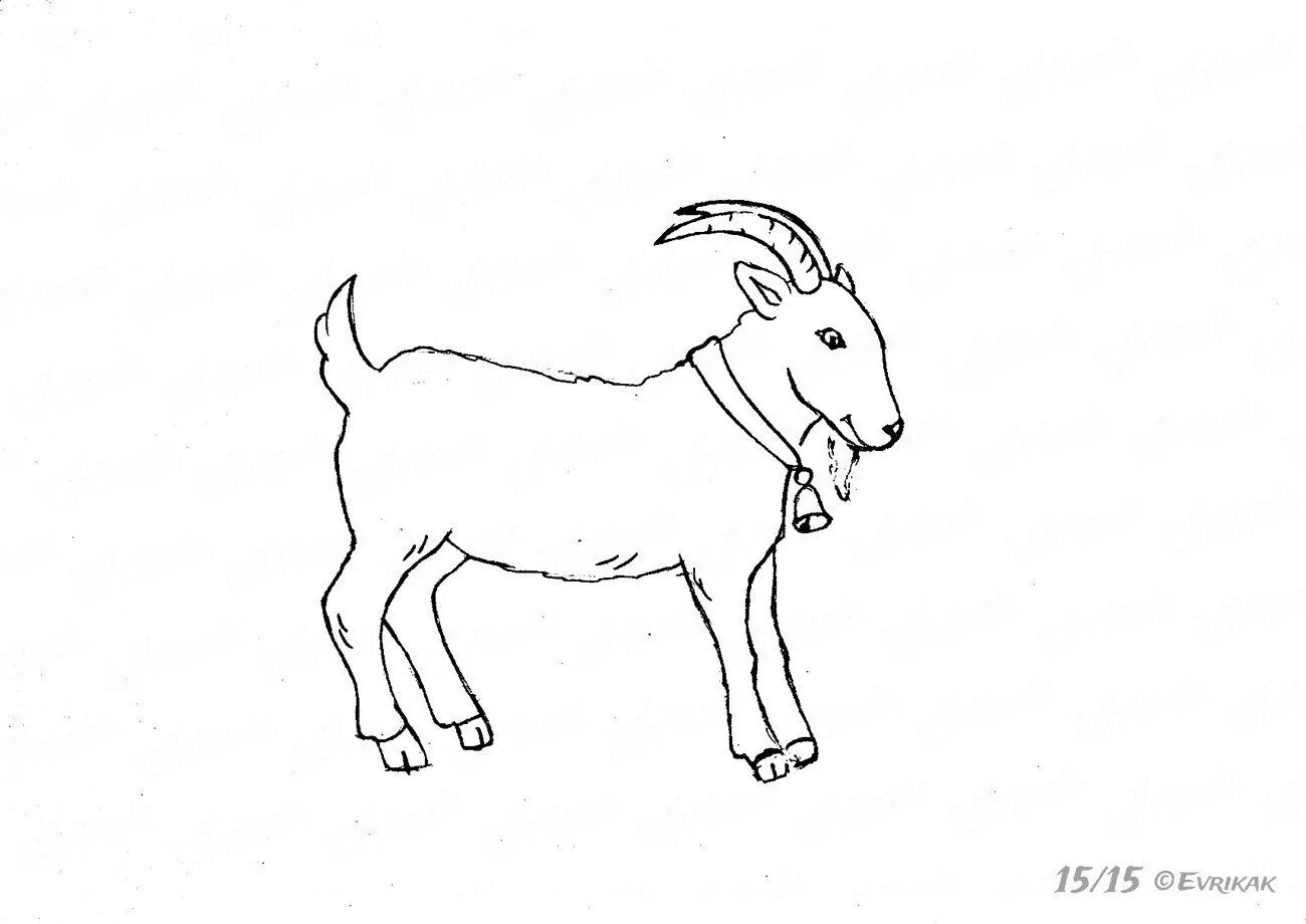 Рисование в средней группе козлятки выбежали погулять. Коза рисунок. Козлик рисунок. Козленок рисунок. Рисование козлика.