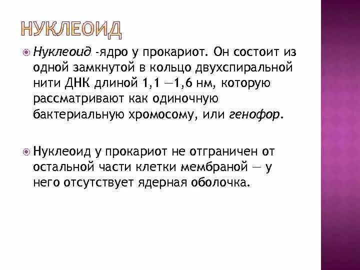 Нуклеоид. Нуклеоид функции. функции нуклеоида бактерий. функции нуклеоида. генофор.