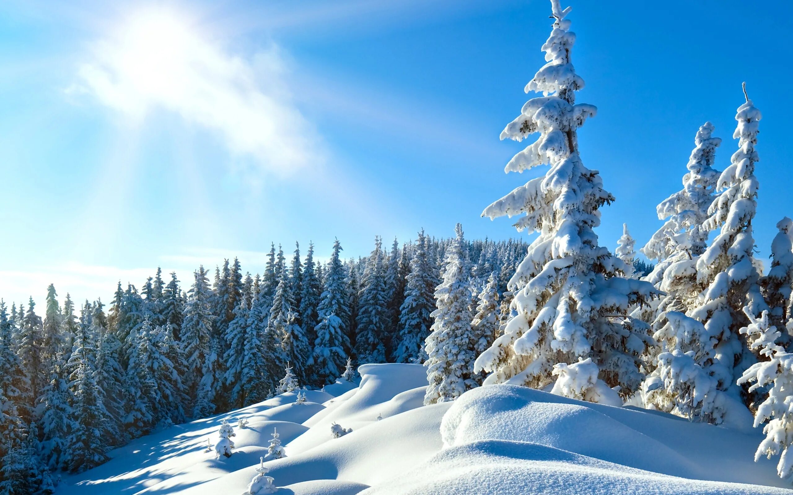 Snow is beautiful. Голубое небо зимой. Голубое небо зимой город. Sunset Mountains in Winter.