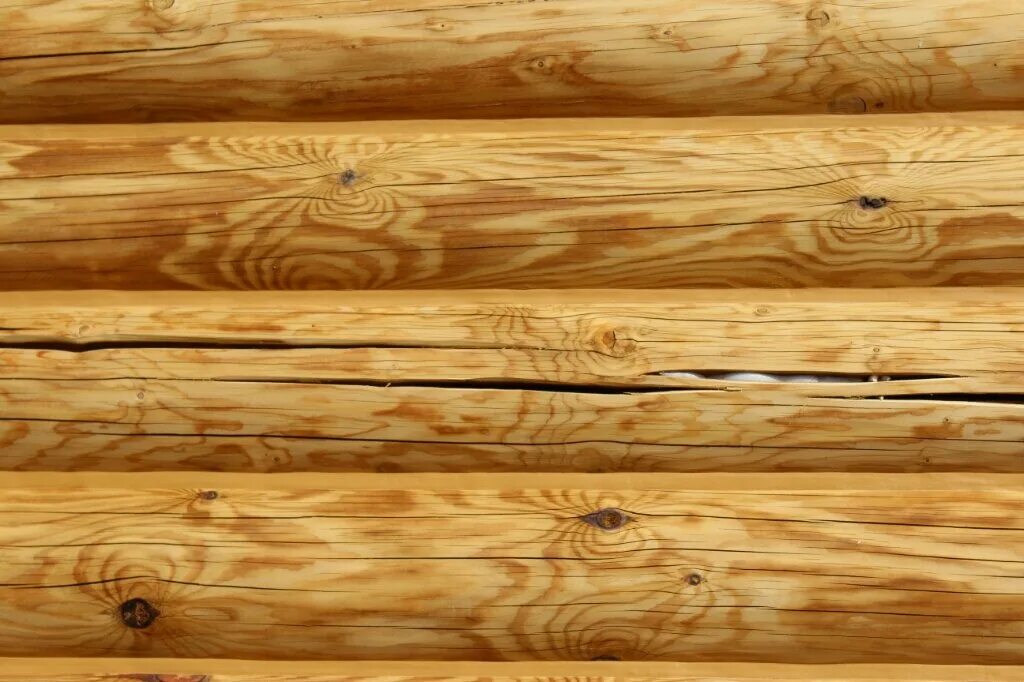 текстура бревна. оцилиндровка бревна. стена из бревен. текстура бревна. бревенчатая стена.