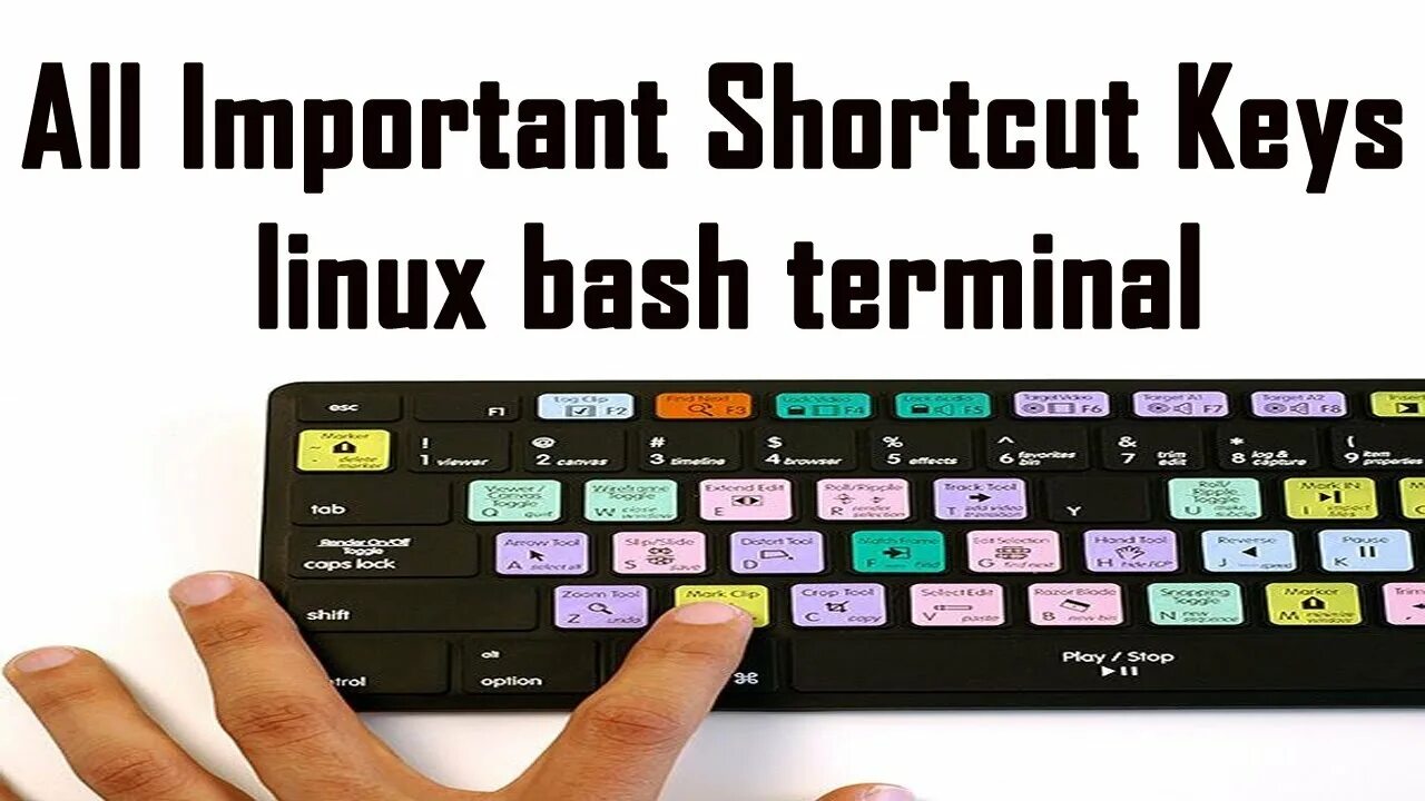 Bash терминал. Терминал Linux. Bash Terminal Linux. Shortcut Linux. Linux import