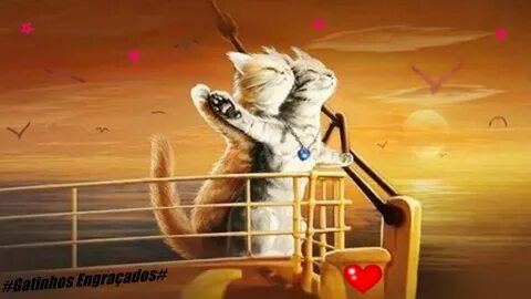 Titanic cat