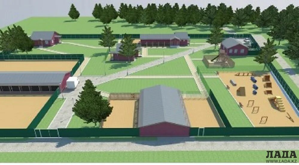 Website Disabled Dog boarding kennels, Dog boarding, Commercial dog kennel ideas