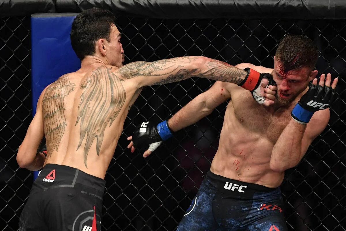 Правило боя полностью. UFC Max Holloway. Max Holloway Kattar.