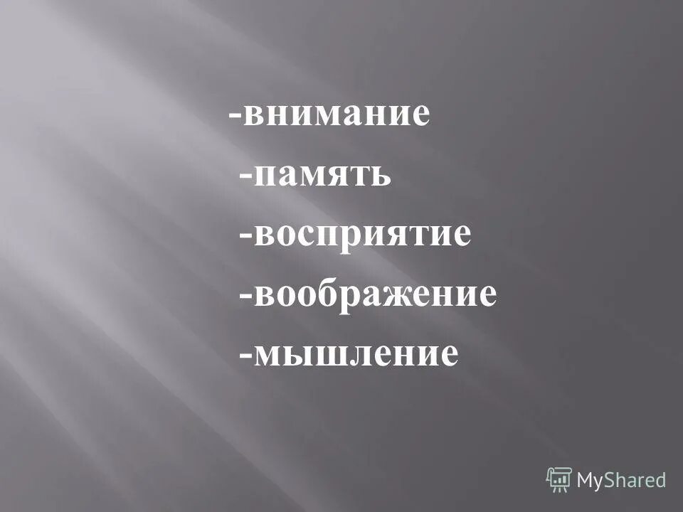 Восприятие память воображение мышление это. Восприятие память воображение мышление это