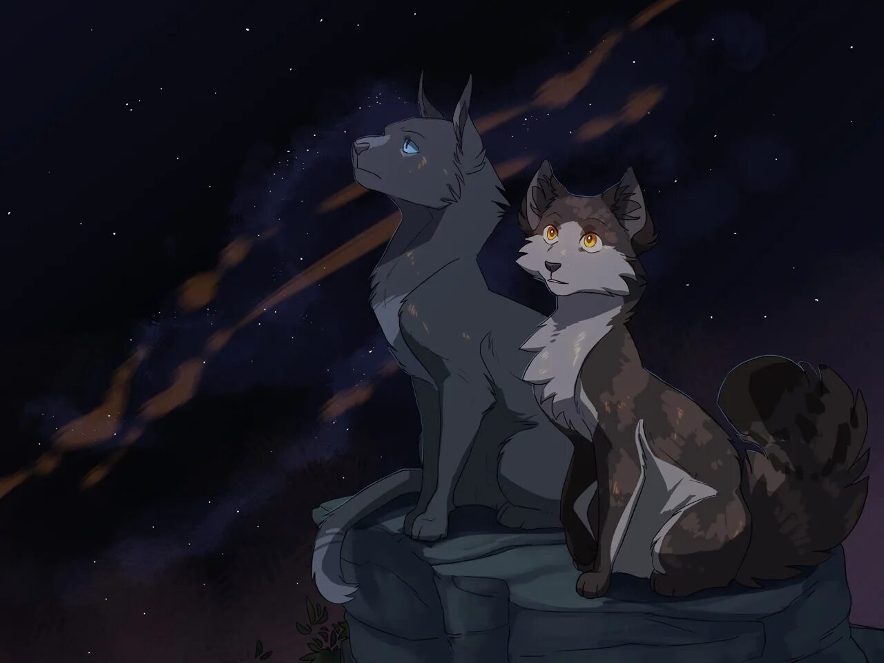 Коты воитель голубка и синяя звезда. Синяя звезда в виде человека. Синяя звезда выбор. Коты воители чернозвёзд и синяя звезда. Коты воители лиственная звезда.