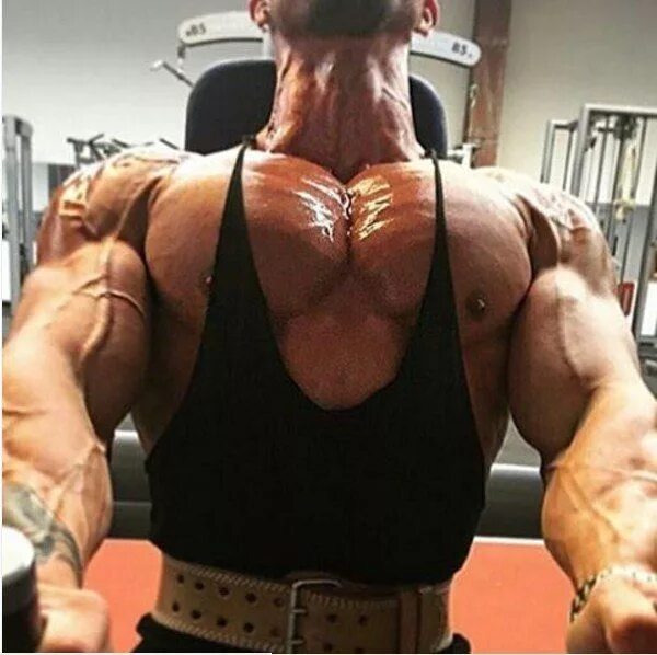 Самые большие грудные. Мощная мужская грудь. Накаченные грудные мышцы. Самые накаченные грудные мышцы. Наккчанная мужская грудь.