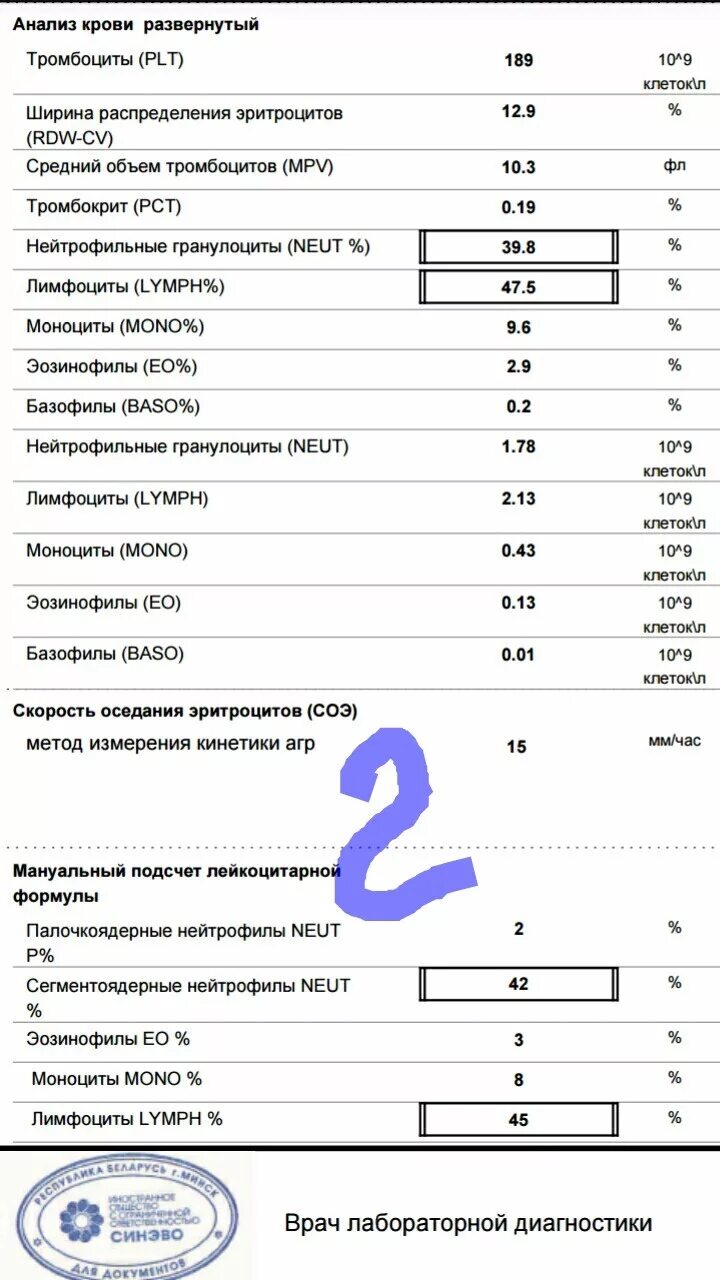 Расшифровка анализа крови нейтрофилы. Нейтрофилы по латыни в анализе крови. Эозинофилы в анализе. Эозинофилы в анализе крови. Эозинофилы в крови обозначение