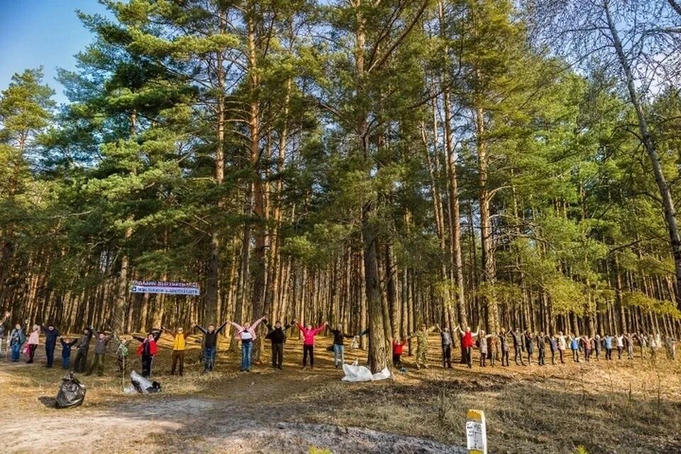 Мишень сосновый бор отзывы. Мишень сосновый бор отзывы