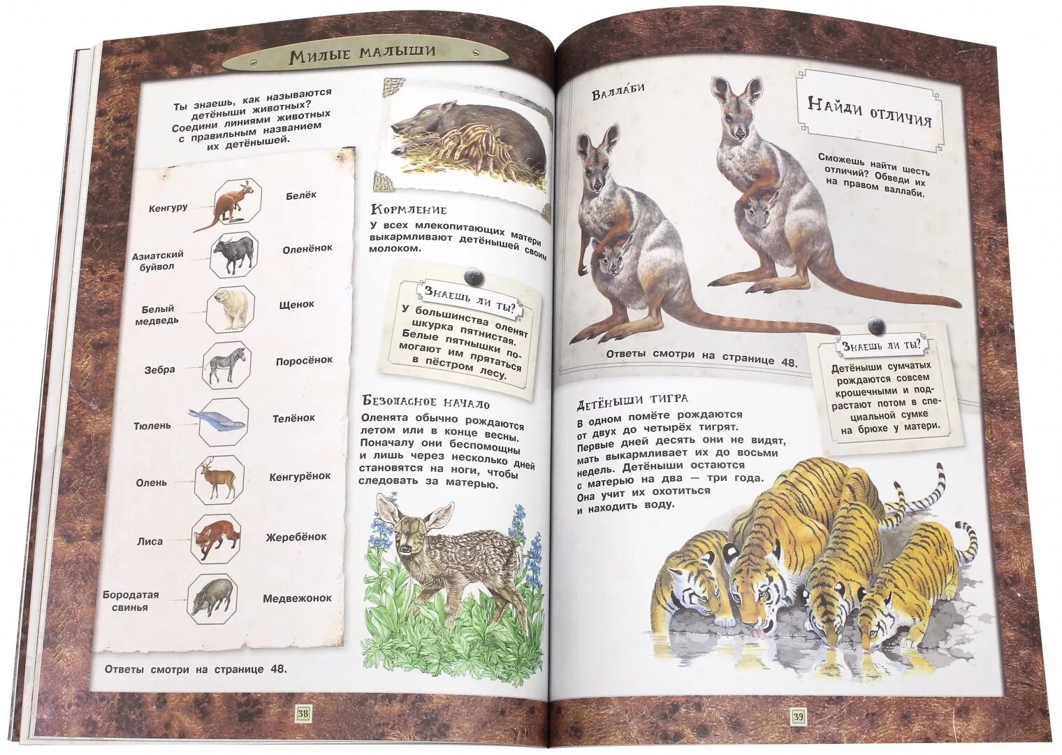 Книги про зоологию. Занимательная Зоология. Книги по зоологии. Зоология книга. Книга по зоологии для детей.