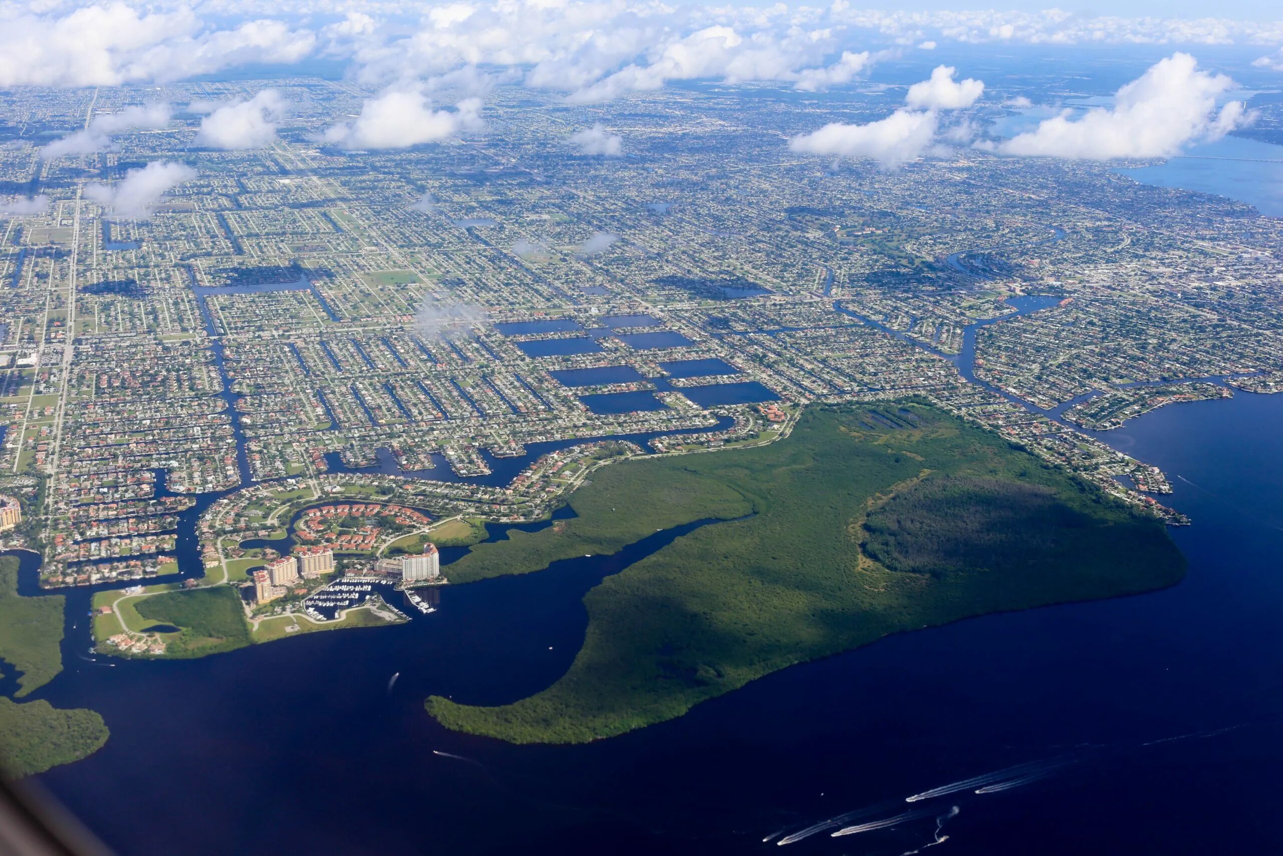 Cape coral