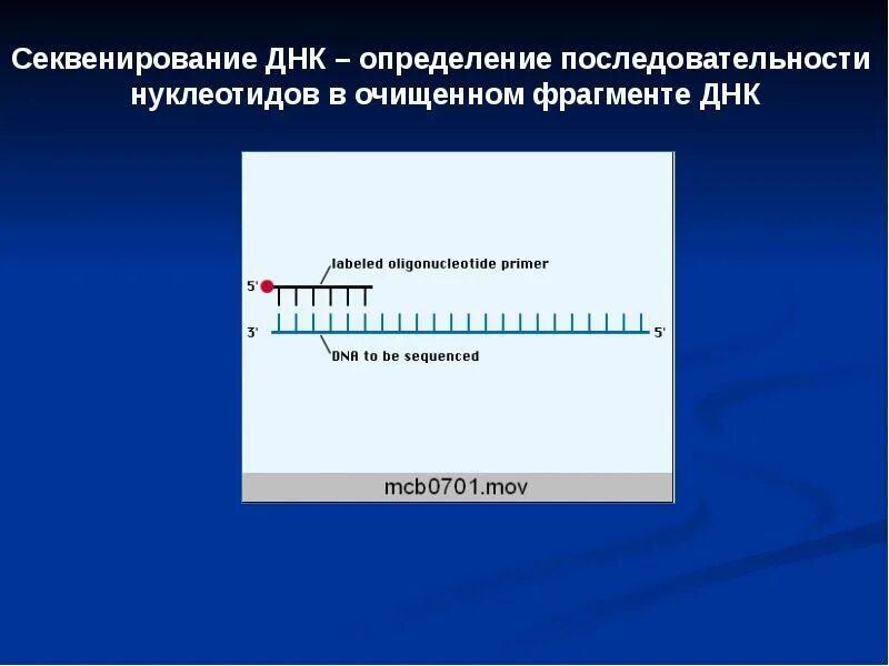 Изменение нуклеотидной последовательности. Секвенирование ДНК. Секвенирование ДНК последовательность. Секвенирование нуклеотидной последовательности. Определение нуклеотидной последовательности.