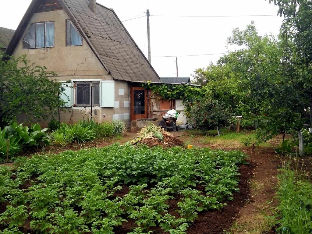 волжский. недвижимость дачи г. дачи в волжской области. дача волгоград. снт волжанин волгоград средняя ахтуба.