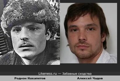 Чадов похож на